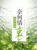 奈何情深讲了什么