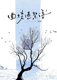 九点半dj版重低音